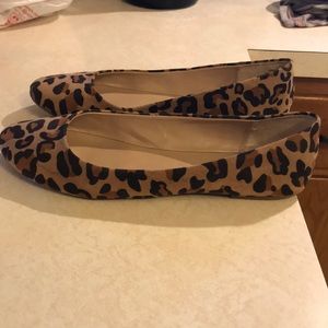 Cheetah flats
